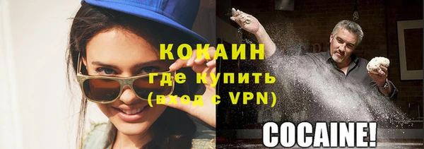 индика Бородино
