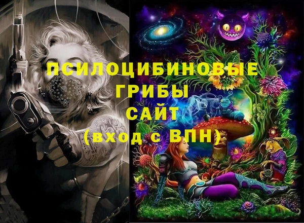 2c-b Бронницы