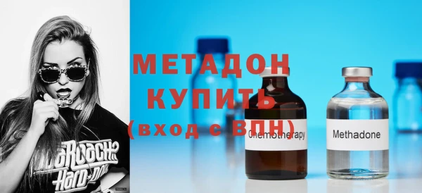 индика Бородино