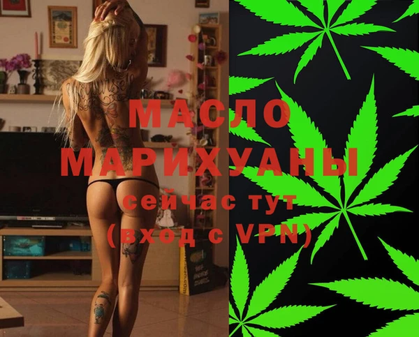 индика Бородино