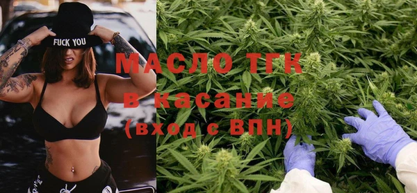 индика Бородино
