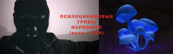 ПСИЛОЦИБИНОВЫЕ ГРИБЫ Балахна