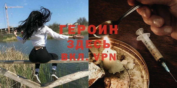 индика Бородино