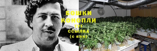 бутират Белоозёрский