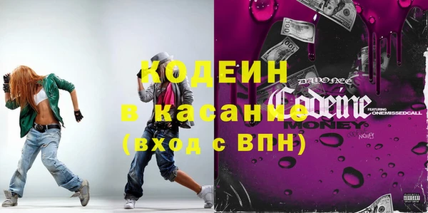 индика Бородино