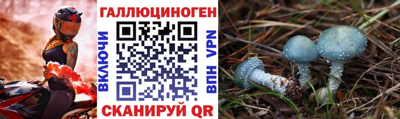 Галлюциногенные грибы MAGIC MUSHROOMS цены Ишим